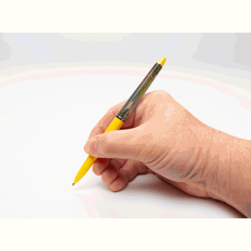 Union Pacific C30-7 Floaty Pen