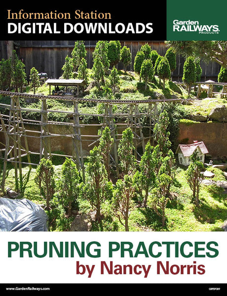 Pruning Practices by Nancy Norris